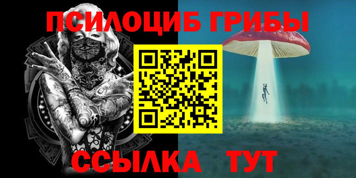 Галлюциногенные грибы Cubensis  Вход с VPN  Кореновск 